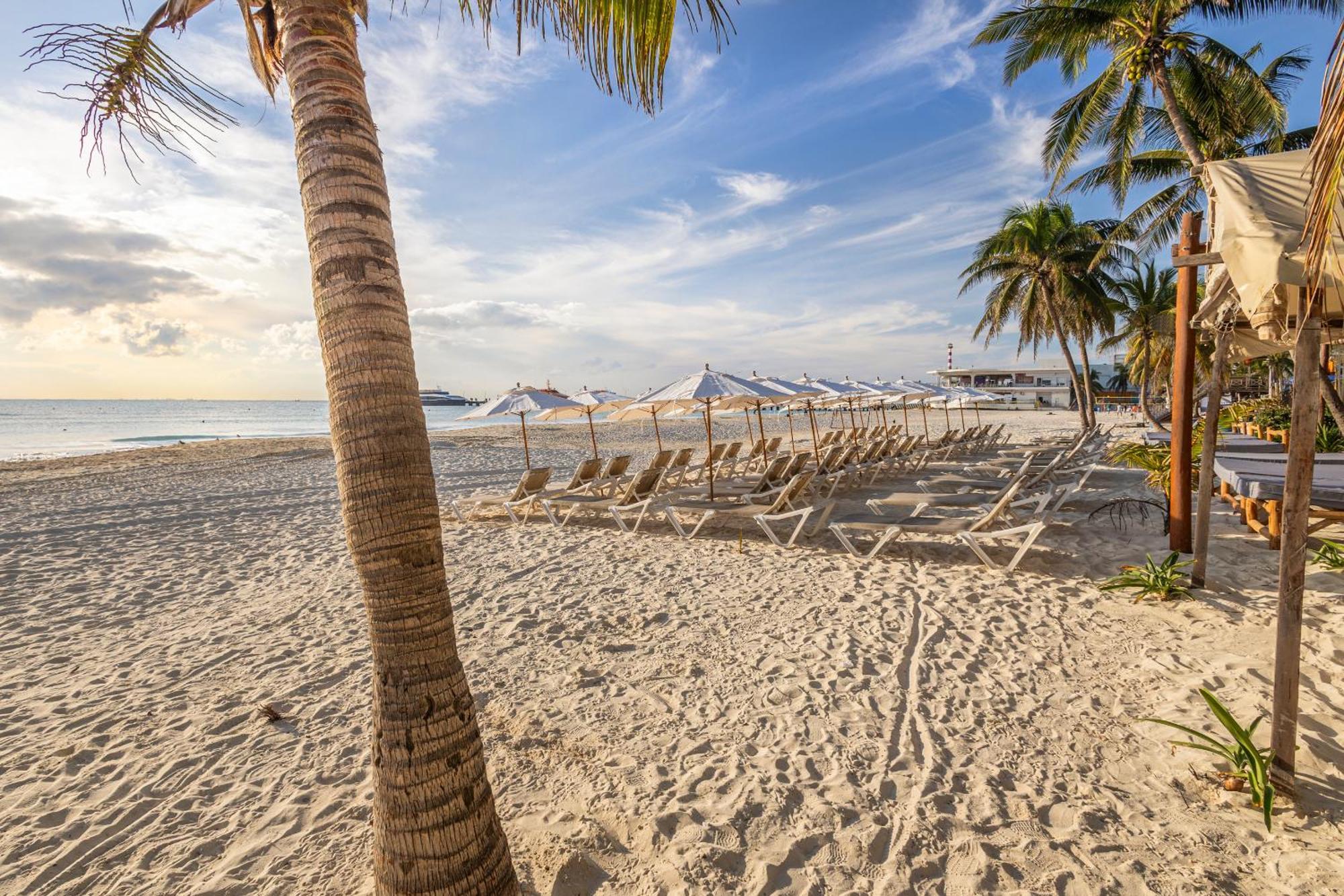Areia Playa Del Carmen - Beach Front Hotel Eksteriør bilde